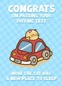Congratulations on passing your driving test. Now theres a new place for the cat to sleep! Enjoy! Fuzzballs