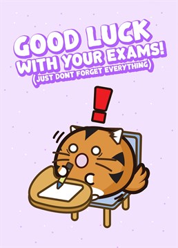 Good luck with your exams, just don't forget everything. Timmy has forgotten everything in his cute little exams. Fuzzballs