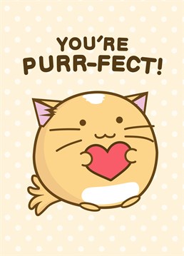 Let someone know they are perfect with this Fuzzballs Anniversary card perfect for valentine's day.