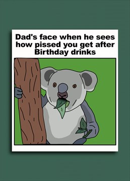 Koala dad is not impressed by the state you're in when you get home from birthday drinks