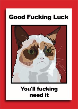Grumpy cat is grumpy but he is polite enough to say good luck.
