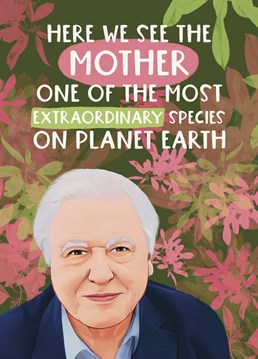 The Mother, extraordinary creature and most loved on planet Earth. Let Sir David Attenborough show your Mum how brilliant she is on Mother's Day