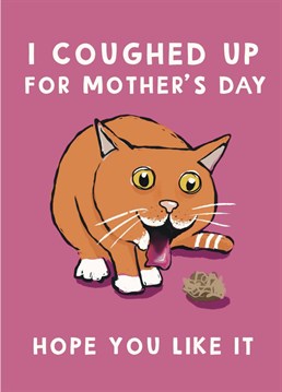 Look what the cat did for your Mum... they coughed up and produced a lovely gift for Mother's day