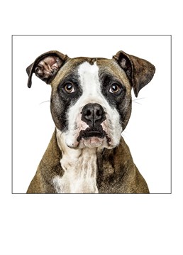 Send a dog lover this cute card by gruffpawtraits.