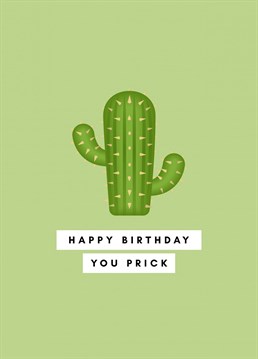 This Funny Illustrated Cactus Birthday Card is the perfect way to wish your favorite prick a happy birthday! The fun, illustrated cactus design and witty quote make this card one they're sure to love.