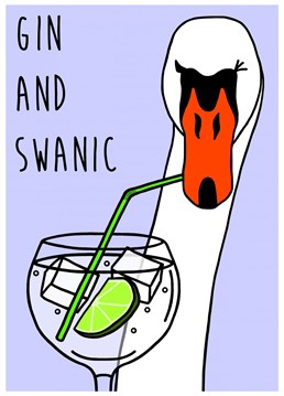 This Gin and Swanic Birthday card is perfect to give to a friend or family member who enjoys a pun and a cheeky drink! Great for any celebratory occasion!