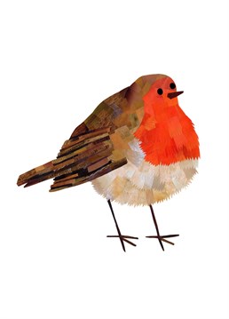 Seasons Tweetings! Wish them a happy Christmas with this sweet robin card. Designed by Holly Collective.