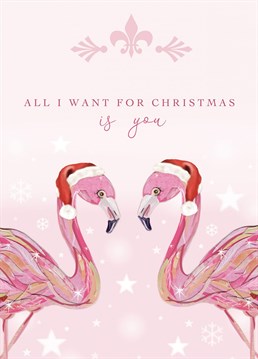 Flamingo love birds festive greeting Christmas card