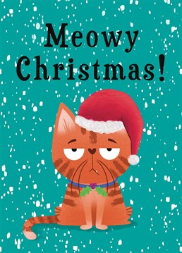 Wish friends and family a very Happy Christmas with this funny grumpy cat design. The card features a rather unimpressed ginger Cat sporting a Santa hat, which will be sure to make the recipient smile!