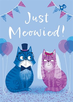 Congratulate the happy couple on their marriage with this cute cat card. This card features two cats, dressed as a bride and groom surrounded by bunting and balloons. This card will help make sure they have the purr-fect day!