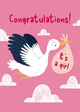 Congratulate friends and family on the birth of their new baby girl with this sweet card. This design features a stork flying amongst the clouds, while holding a little bundle of joy in it's beak. Send your warm wishes with this cute card.