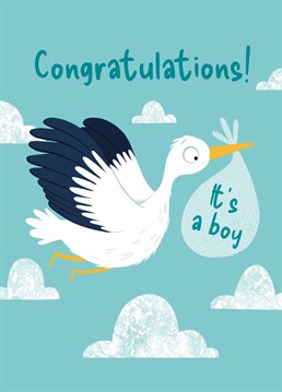 Congratulate friends and family on the birth of their new baby boy with this sweet card. This design features a stork flying amongst the clouds, while holding a little bundle of joy in it's beak. Send your warm wishes with this cute card.