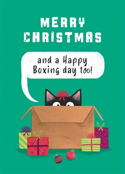 Wish your loved ones a Merry Christmas, and don't forget boxing day too. This cute cat peeping out of a box will be sure to bring a smile to their faces this Christmas.
