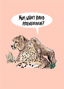 This cub NEEDS to get to know the living legend that is David Attenborough! Send this cute How Funny Birthday card for any occasion.