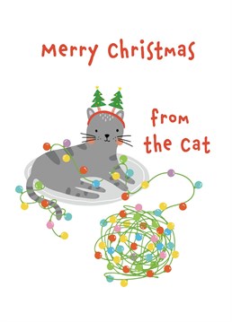 Wish all Cat lovers a Merry Christmas with this cute Cat Christmas card.