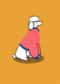 Cute Poodle illustration. This print is a high quality reproduction of one of my original drawings