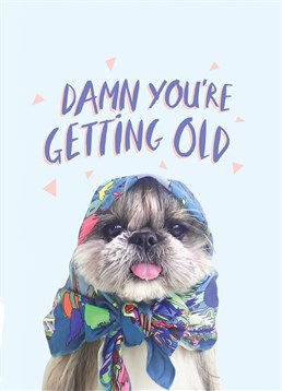 Damn You're Getting Old, by Jolly Awesome. Oh my God you're getting old, but you're still damn cute - just like this dog! Send this Birthday card to the cutie getting older in your life.