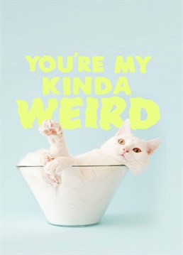 It's better than being a not your kind of weird! Let your other half know there's no one you'd rather be with with this cute anniversary card by Jolly Awesome.