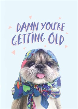 At least they won't get put down at the age of 17 like the dog on this Birthday card! A Birthday card designed by Jolly Awesome.