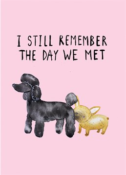 Perfect for a dog lover, send this funny Valentine's Anniversary card to the one whose bum you would gladly sniff. Designed by Jolly Awesome.