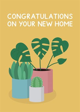 This bright yellow card features houseplants and reads "Congratulations on your new home". Designed by Jeff and the Squirrel.