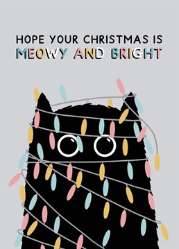 This ones for the black cat owners! Card reads Hope your Christmas is Meowy and Bright and features a black cat wrapped in festive lights. Designed by Jeff and the Squirrel
