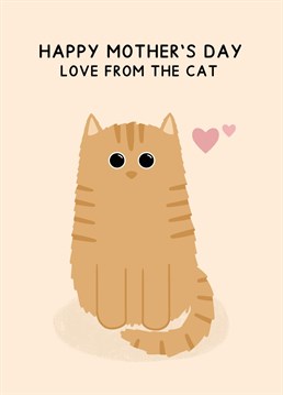 A Mother's day card from the cutest ginger cat! Designed by Jeff and the Squirrel