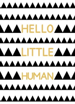 A new baby card featuring a black triangle print. Card reads "Hello little human". Designed by Jeff and the Squirrel