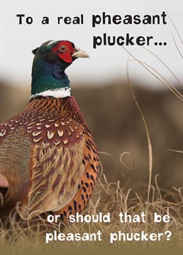 Pheasant plucker and pleasant phucker is a lot better that mixing the two and being a pheasant phucker, trust us we are talking from experience. A birthday card by JellynBean.