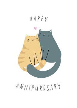 This sweet card is perfect for any cat lover on their anniversary. This sweet greeting card features a pair of cute cats sharing a hug together, perfect for bringing a smile to your loved ones faces.