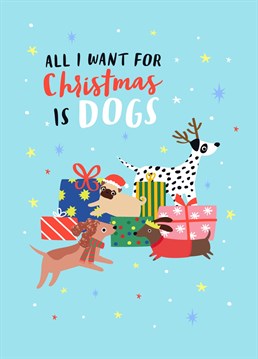 When all you want for Christmas is a dog! The perfect card design for any dog lover featuring a range of cute dogs jumping out of presents.