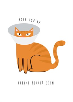 Wish someone you love better with this light hearted poorly cat. Featuring a cat with a cone on its head. Perfect for bringing a smile to your friends and families faces.