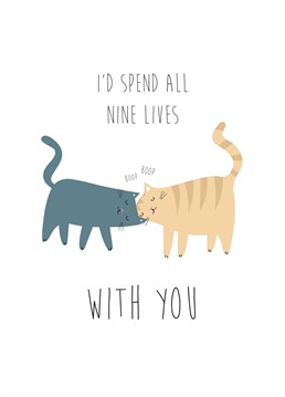 This sweet card is perfect for any cat lover on their anniversary or just tell someone you love them. This greeting card features a pair of cute cats head boops, perfect for bringing a smile to your loved ones faces.