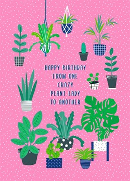 The perfect Birthday card for the crazy plant lady in your life. We all have that friend who has more plants than they know what to do with!