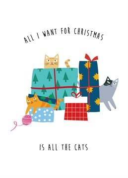 The purrfect Christmas card for the ultimate cat lover. This sweet hand illustrated card features three playful kitties among presents. Send this card to any cat loving family or friends at Christmas time.