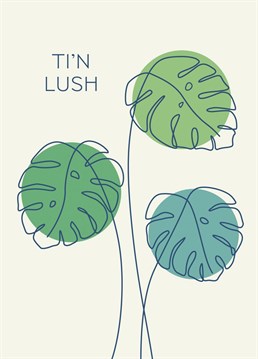 'Your'e lush' you are. Welsh themed card featuring lush cheese plant leaves too!