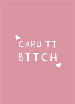 Love you bitch! A cheeky Welsh card perfect for a friend or loved one. Mid Mod Cards by Jennifer Finnigan Design.