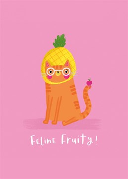 Got a fruity friend who loves cats?! then this is the card for them!   Designed by Jess Moorhouse