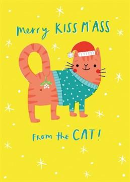 Say Merry Christmas from your Cat with this hilariously cheeky festive card.  Designed by Jess Moorhouse