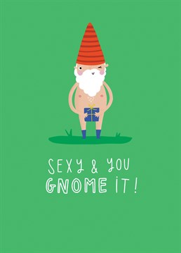 The perfect Anniversary card to send any gnome lover!