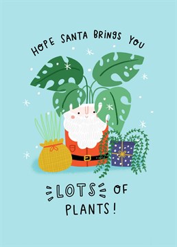 Want to send a plant obsessed friend a Christmas card? Well this is the perfect one for them! This card features three different plants, including a monstera all proudly sat in festively decorated pots! Designed by Jess Moorhouse