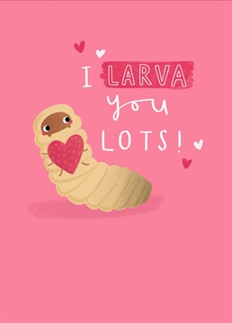Send your partner or someone you are crushing on this super cute and punderful valentine's day Anniversary card. It features an adorable Larva holding a heart. Designed by Jess Moorhouse