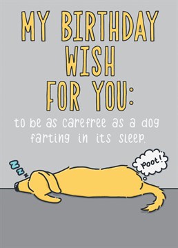 I've never met a dog that farted on purpose - they just let it happen. Send this birthday card to someone you wish would feel that same sense of freedom.