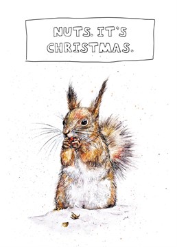 Send a squirrel loving someone this cheeky nuts Christmas card!
