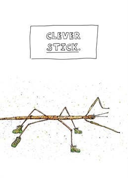 A great stick insect card for graduations, exam results and anything that takes brains! What a clever stick!