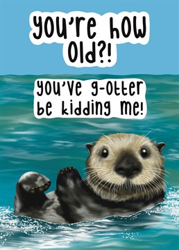 Awwww a cute otter, oh look how fluffy!  Lets just re-balance things and call them old. There we go.  Happy Birthday!