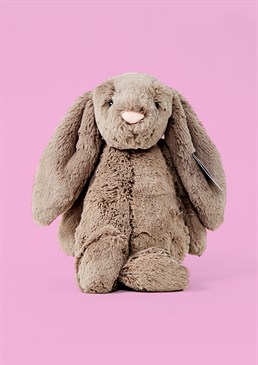New bunny bestie?. Brown truffle colour. Irresistibly soft and squishy. Suitable from birth. Dimensions: 31cm high, 12cm wide. We're all ears&hellip; And so is this guy! Introducing the perfect plush companion and durable playmate to make a little one happy. Sure to stay a firm favourite, you'll go hopping mad over this totally adorable, big-eared cutie! Don't be fooled by his innocent face, the Bashful Monkey definitely has a playful side! His chocolatey brown fur is so unbelievably fluffy, he really needs to be cuddled to believe how soft it is. This toy is suitable for newborns and a great, unique gift for all ages.