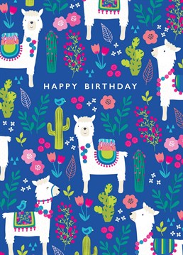 A fun and colourful llama Birthday card. Perfect for you and old llama fans!