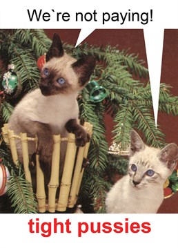 Tight Pussies. Christmas Card by KissMeKwik. Have a laugh this Christmas with the help of these penny-pinching pussies.