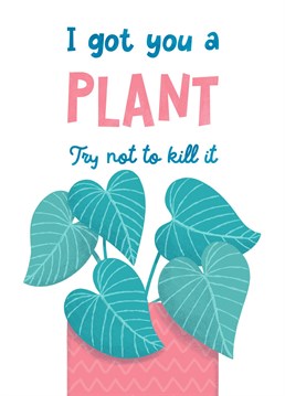Great card to go with a plant gift, or even by itself. After all an illustration of a plant is harder to kill! Great for birthdays, moving house or just because.